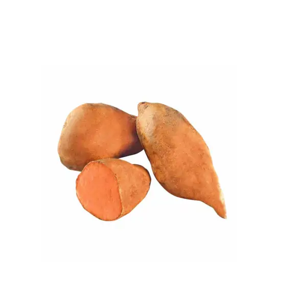 Camote Amarillo, venta desde 0.5 kg/ 1 Kg a más.