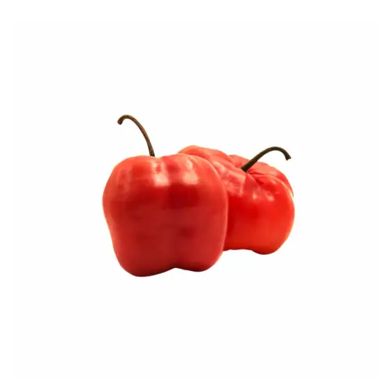 Rocoto Entero, venta por unidad.